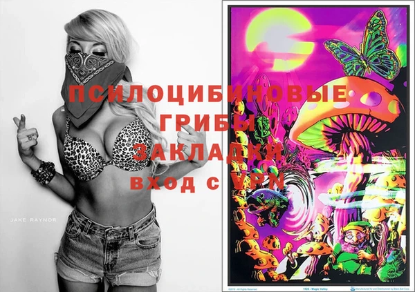 мяу мяу мука Армянск