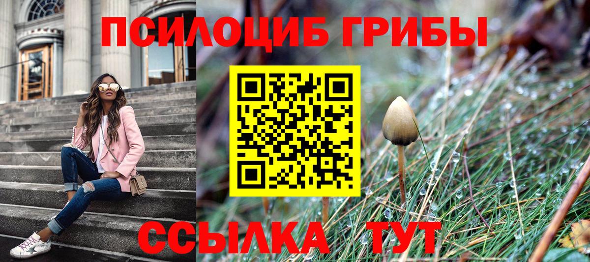 цена   Псилоцибиновые грибы Cubensis  Белая Калитва  Вход с VPN  Псилоцибиновые грибы прущие грибы 